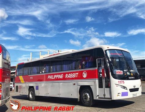 Hayop sa bus philippine rabbit